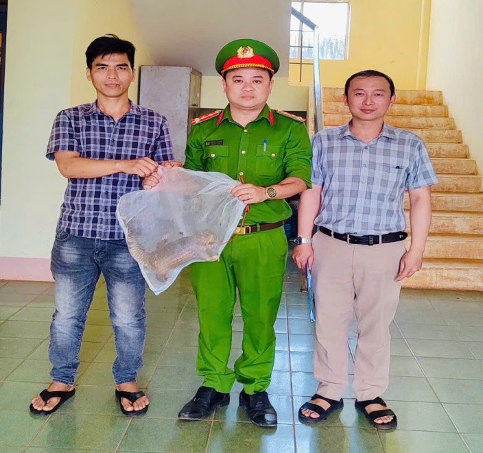 cong-an-xa-nhan-co-tiep-nhan-ca-the-te-te-do-anh-van-duc-vu-giao-nop-1781344951490516038902 Hai động vật hoang dã nguy cấp, quý, hiếm được thả về môi trường tự nhiên - Ảnh 3.