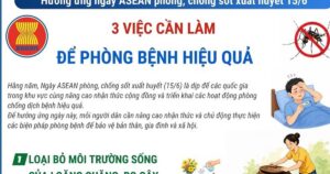 Ngày ASEAN phòng, chống sốt xuất huyết: 3 việc cần làm để phòng bệnh hiệu quả