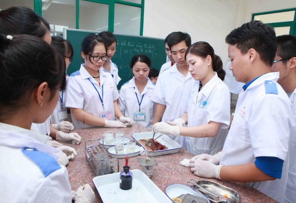 nhan-luc-y-te-17060015105431794981424 Bộ Y tế định hình mạng lưới y tế mới: Hiện đại, đồng bộ và thông minh để nâng chất lượng chăm sóc sức khoẻ nhân dân- Ảnh 2.