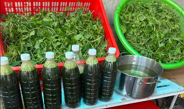 Nhiều người uống nước rau má, đậu đen cả ngày để giải nhiệt, chuyên gia cảnh báo- Ảnh 1.